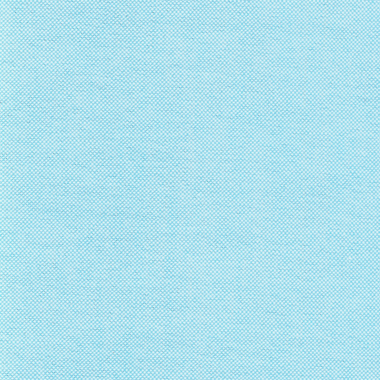 Turquoise Blue Two-Ply Pima Cotton Oxford