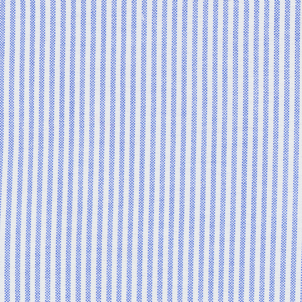 Blue & White University Stripe Two-Ply 100% Pima Cotton Oxford