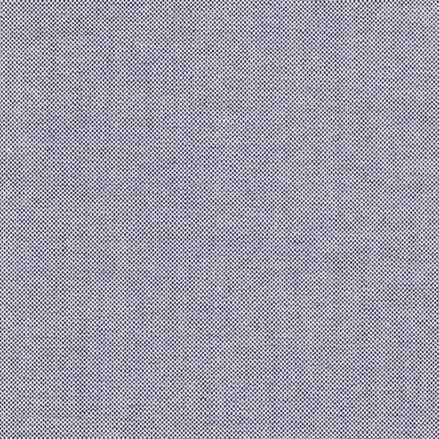 Charcoal Two-Ply Classic 100% Pima Cotton Oxford