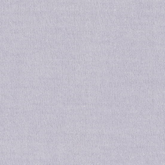 Silver Cloud Two-Ply Classic 100% Pima Cotton Oxford