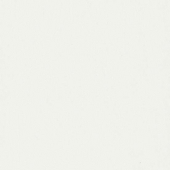 Ivory Two-Ply Classic 100% Pima Cotton Oxford