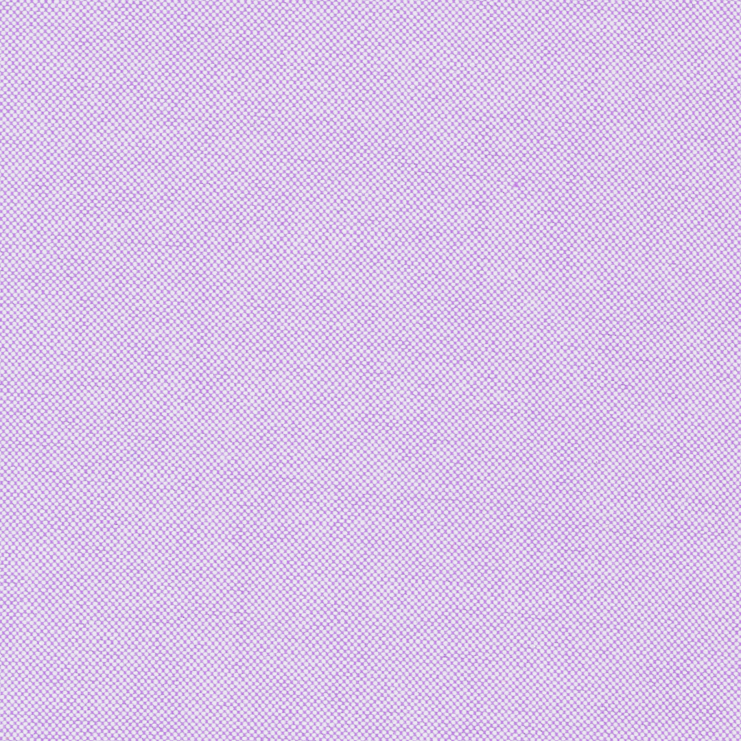 Lavender Two-Ply Classic 100% Pima Cotton Oxford