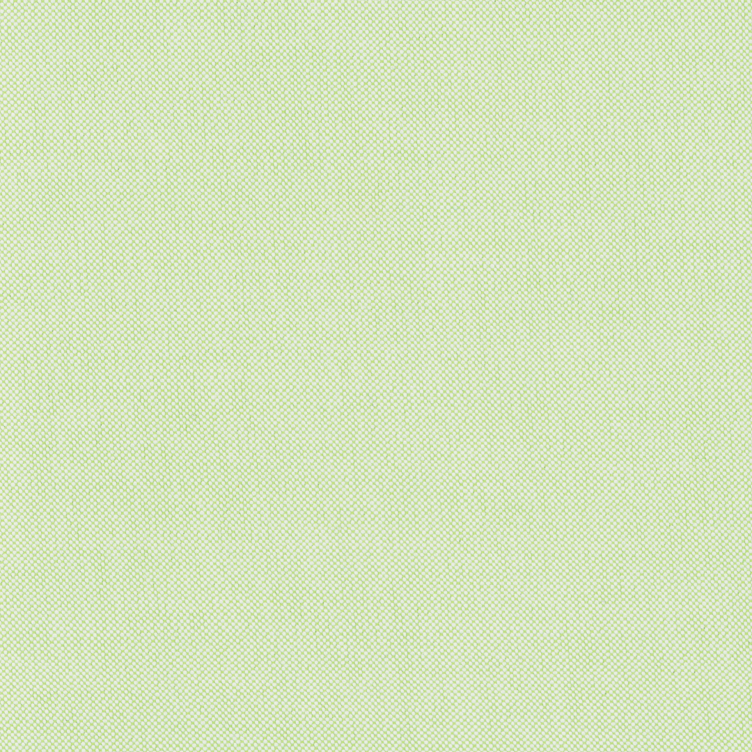 Light Green Two-Ply Classic 100% Pima Cotton Oxford