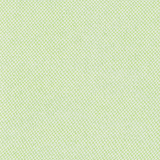 Light Green Two-Ply Classic 100% Pima Cotton Oxford
