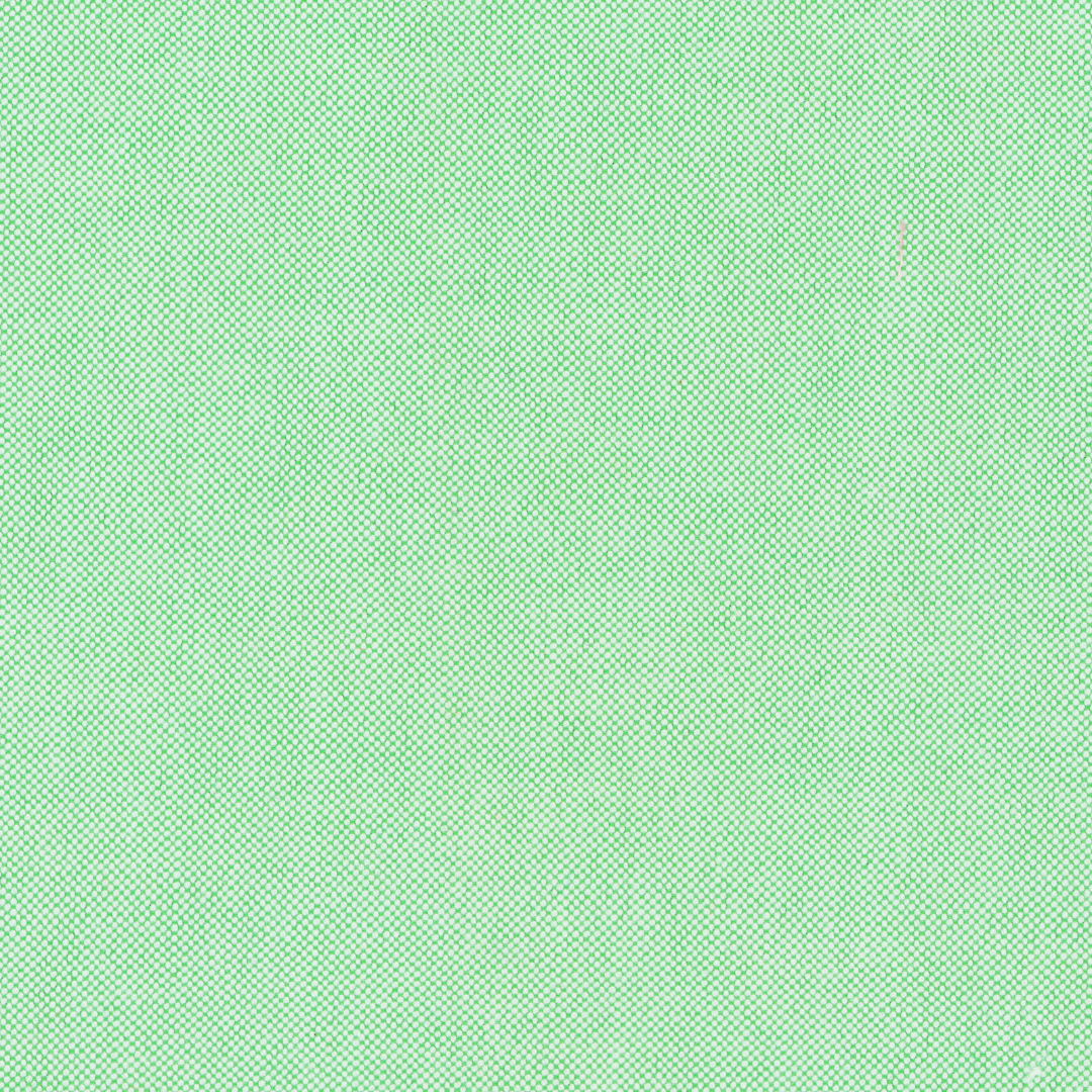 True Green Two-Ply Classic 100% Pima Cotton Oxford