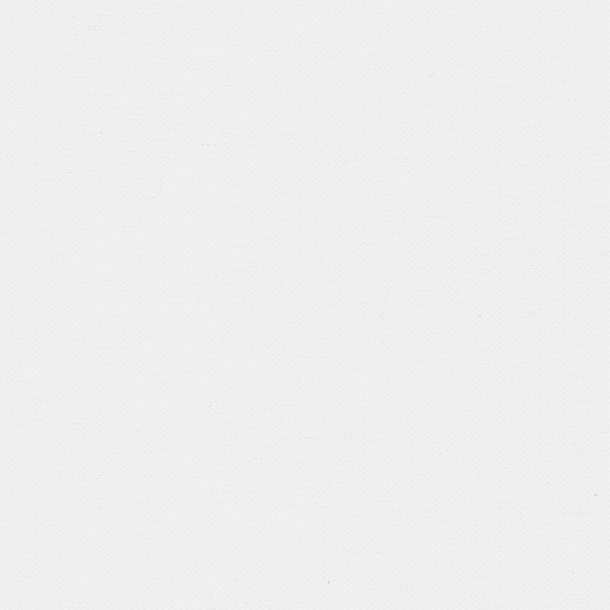 White Two-Ply Classic 100% Pima Cotton Oxford