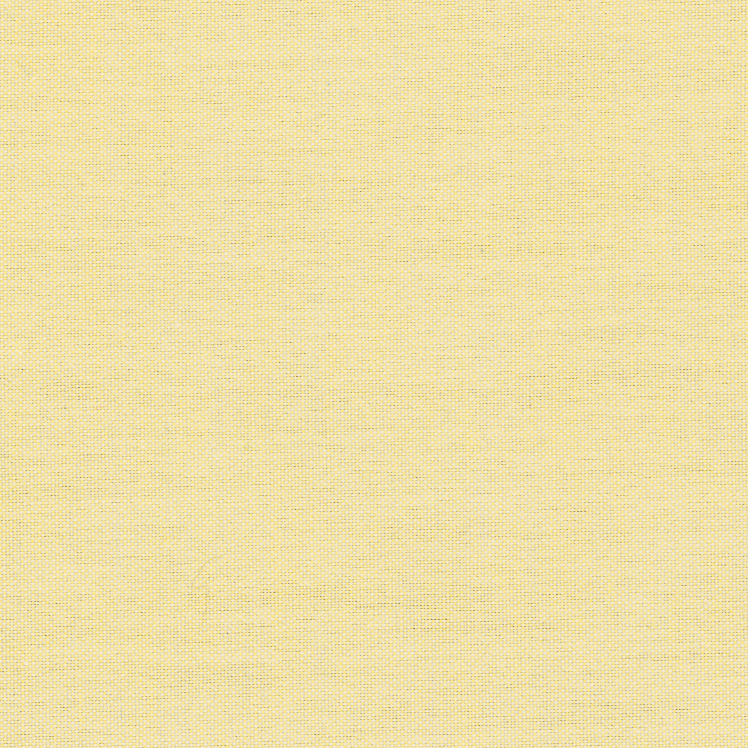 100's French Lemon Yellow Pinpoint Oxford